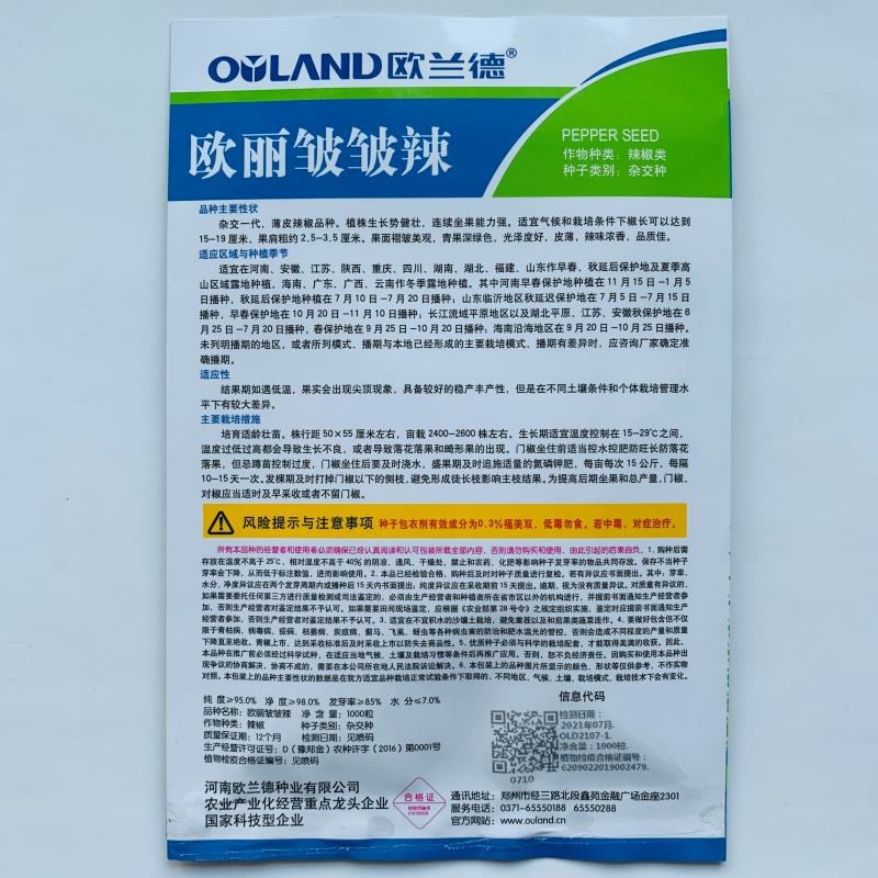杂交一代薄皮辣椒种孑连续坐果强皮薄辣味浓香品质佳皱皮辣椒