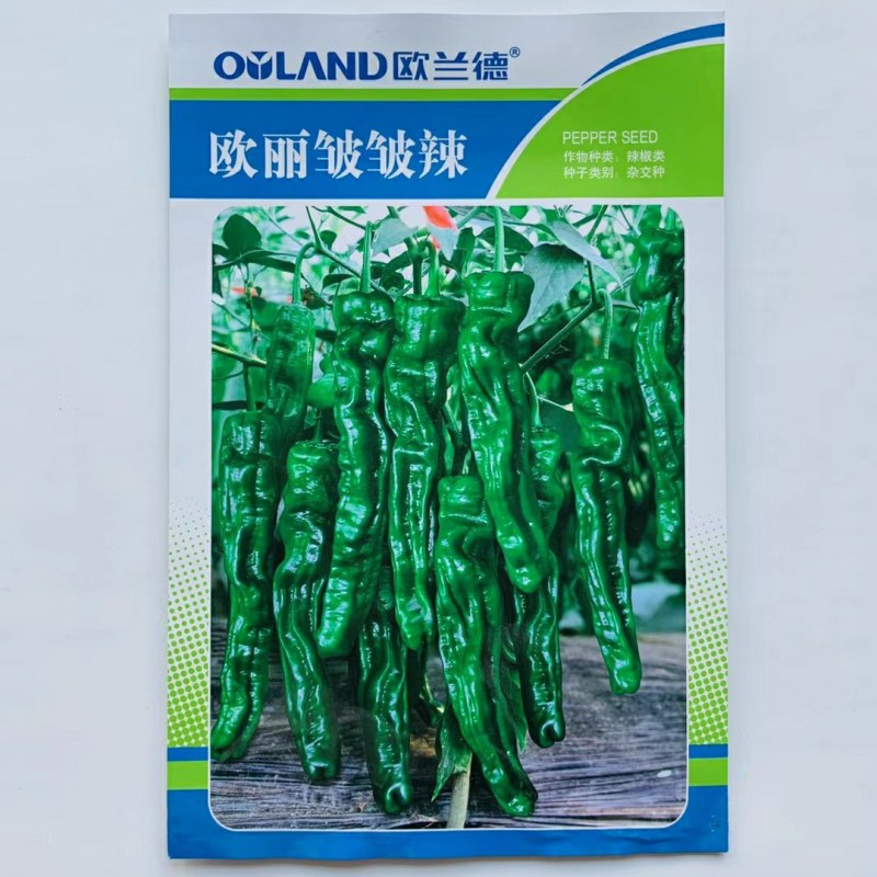 杂交一代薄皮辣椒种孑连续坐果强皮薄辣味浓香品质佳皱皮辣椒