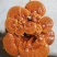菌包，灵芝菌棒，赤芝菌棒，灵芝活体菌包，山东冠县发货