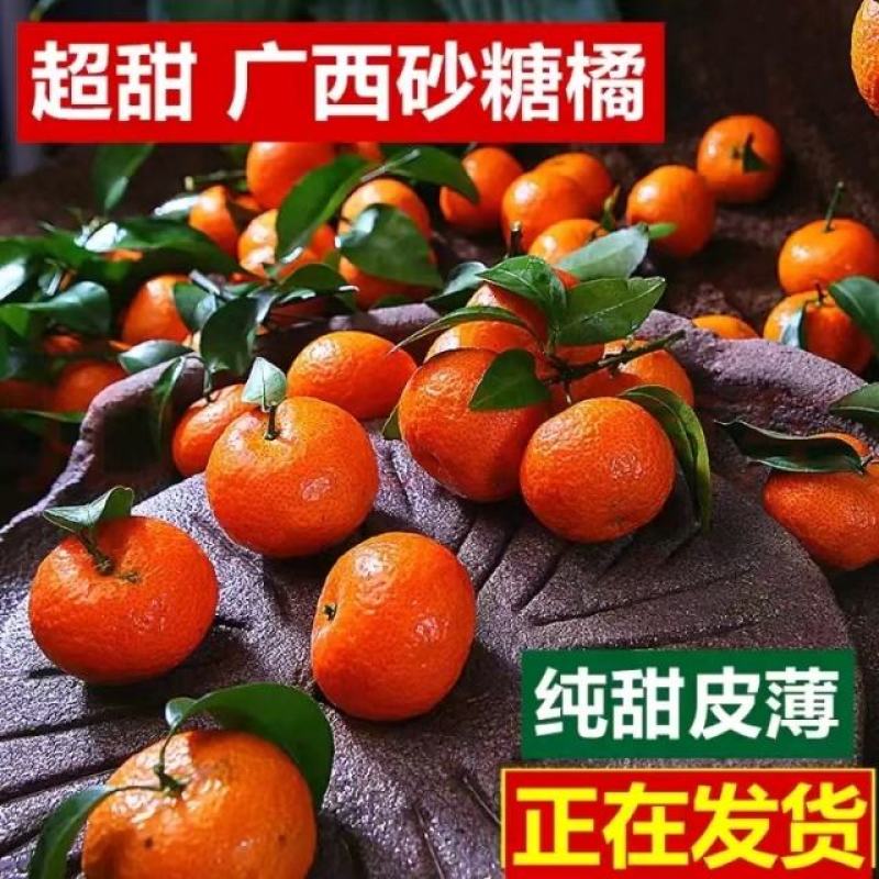 桂林市永福县堡里镇富硒沙糖桔
