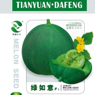绿如意绿宝甜瓜种子，甜度19.绿皮绿肉5克.500粒左右