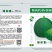 绿如意绿宝甜瓜种子，甜度19.绿皮绿肉5克.500粒左右