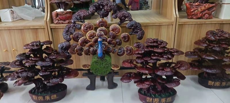 灵芝盆景，祥瑞盆景，居家摆放，商务送礼，开业送礼