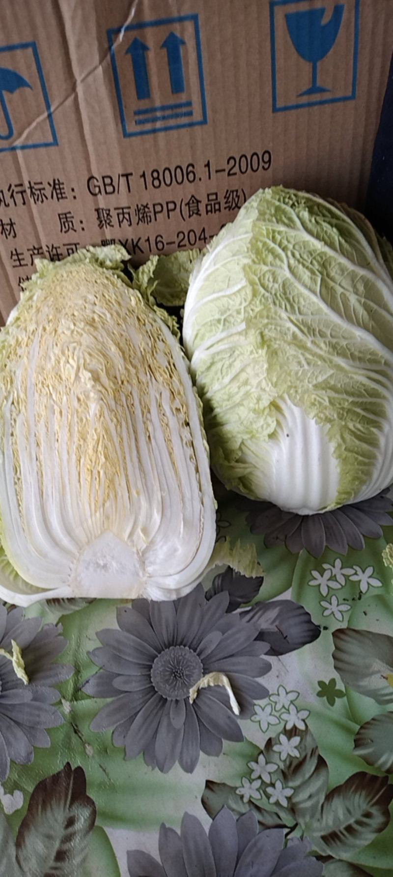 【黄心白菜】黄心白菜湖北精品上市产地直供全国市场电联