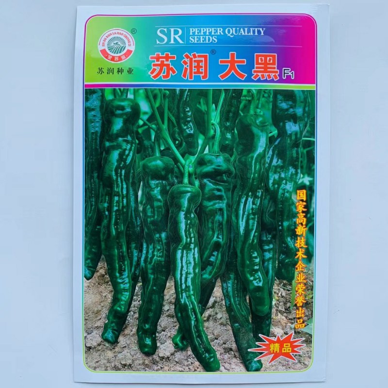 皱皮羊角型辣椒种子辣味香浓中早熟皮薄质脆抗病强产量高