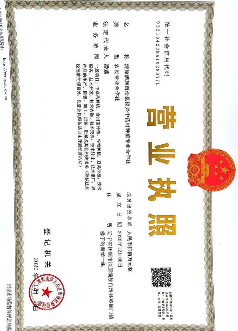 威灵仙山辣椒秧种子，苗子