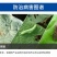 高氯甲维盐甲维盐高效氯氰菊酯杀虫剂