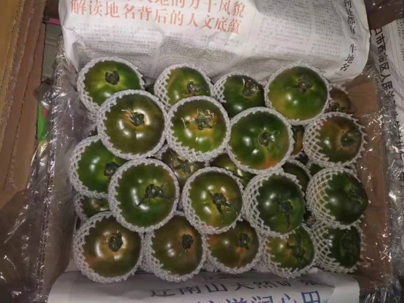 各种柿子