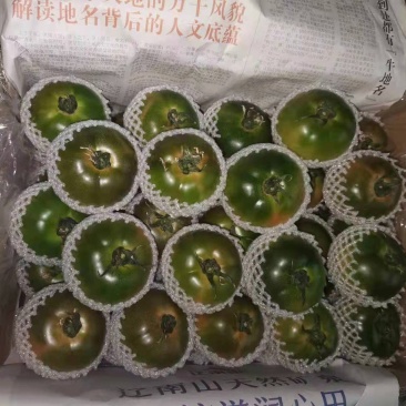 各种柿子