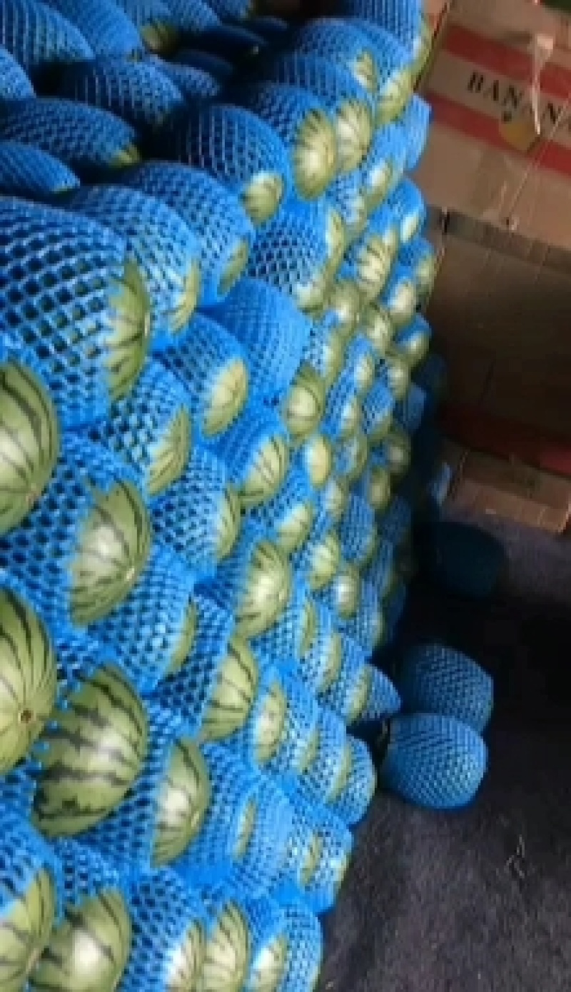 西瓜甜王西瓜皮薄口甜货源充足质量保证大量上市欢