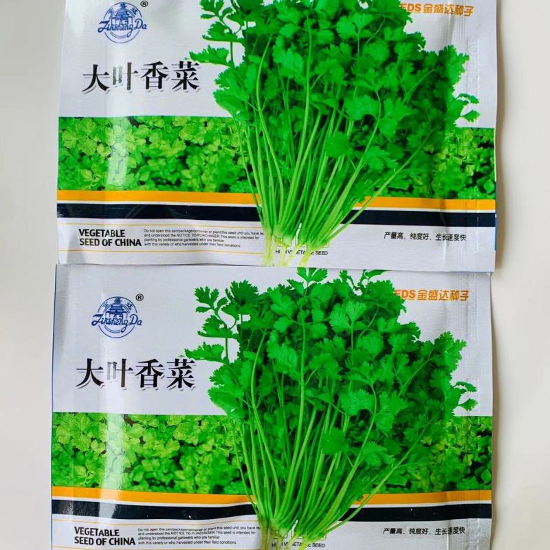 四季香菜种子出苗快香味浓芫荽种籽早熟品种四季蔬菜种子