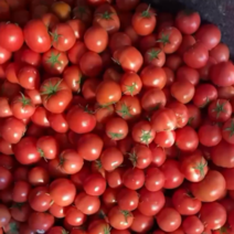 产地直供货量大口感甘甜大城子西红柿全国出名
