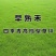 早熟禾种子