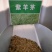 四季青草坪种子紫羊茅草种子公园机场广场高尔夫绿地护坡