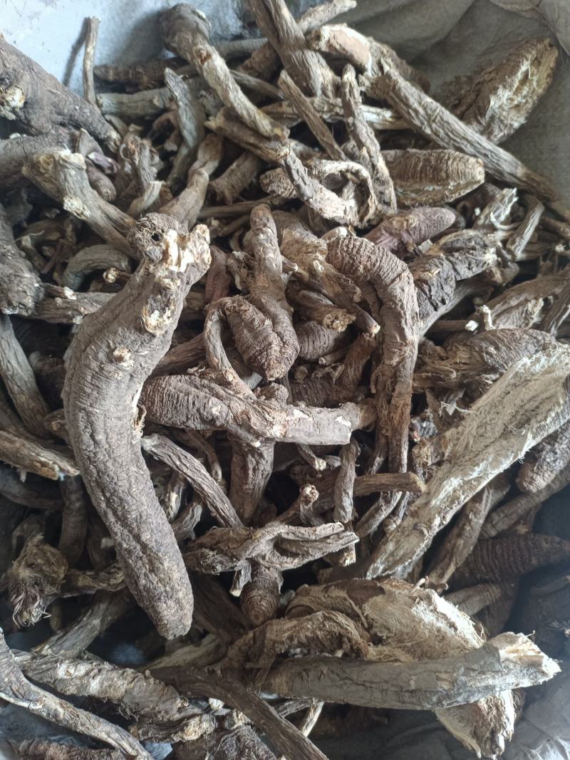 野生当归。藏当归。纯正西藏野生当归，一手货源，年份足
