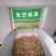 进口无芒雀麦种子南北方草籽牧草耐寒品种
