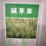 披碱草种子耐寒耐旱耐盐碱草种子多年生护坡固土四季抗风沙牧