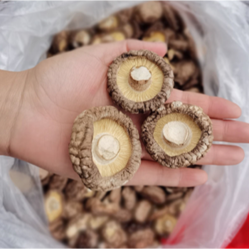 【包邮】湖北精品冬菇干香菇今年新货干度好产地批发