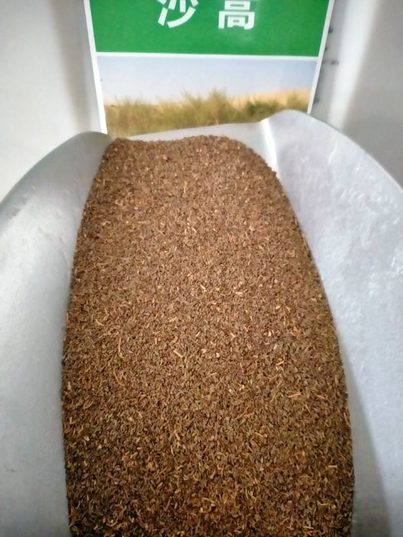 沙蒿籽沙蒿子沙蒿种子固沙牧草种籽草蒿荒地蒿荒漠蒿种子量大