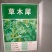 草木犀种子绿肥草木樨夏季耐旱耐热护坡蜜源春季四季