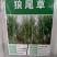 狼尾草种子多年生四季牧草养殖高产耐旱草种耐收割牛羊鱼兔草