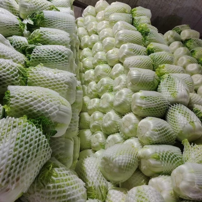 白菜
