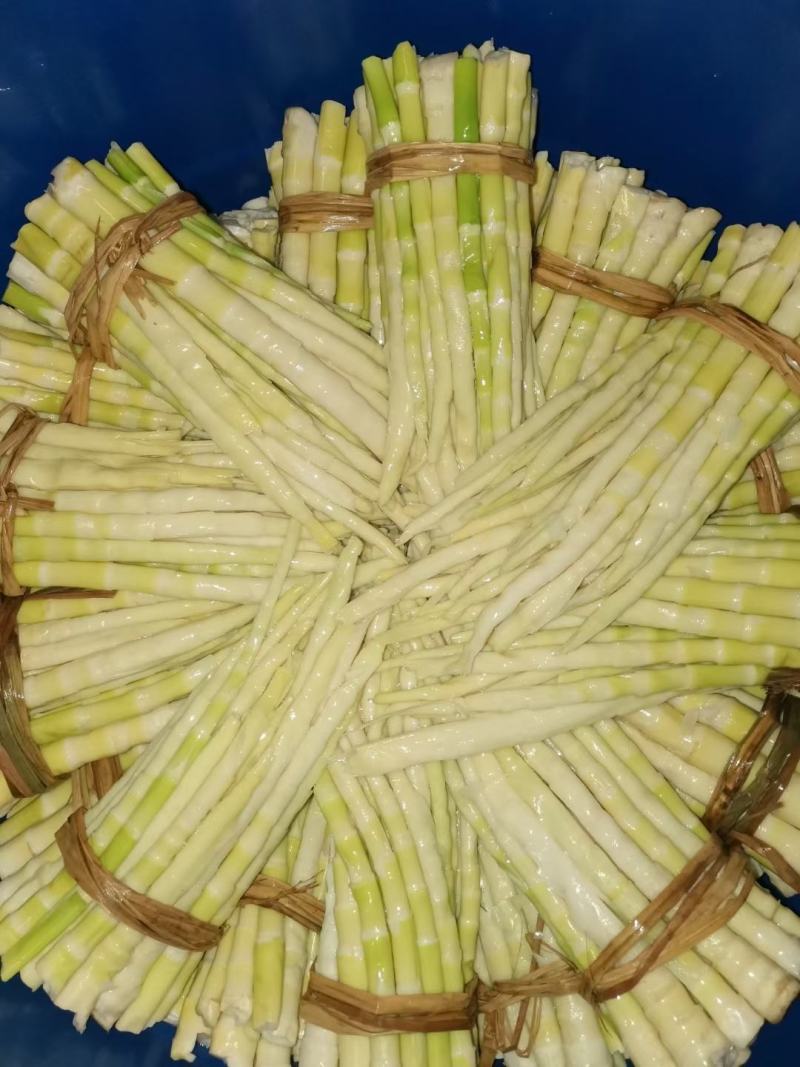 广西瑶山新鲜带壳野生小竹笋，脆甜爽嫩有清香味，当天采摘