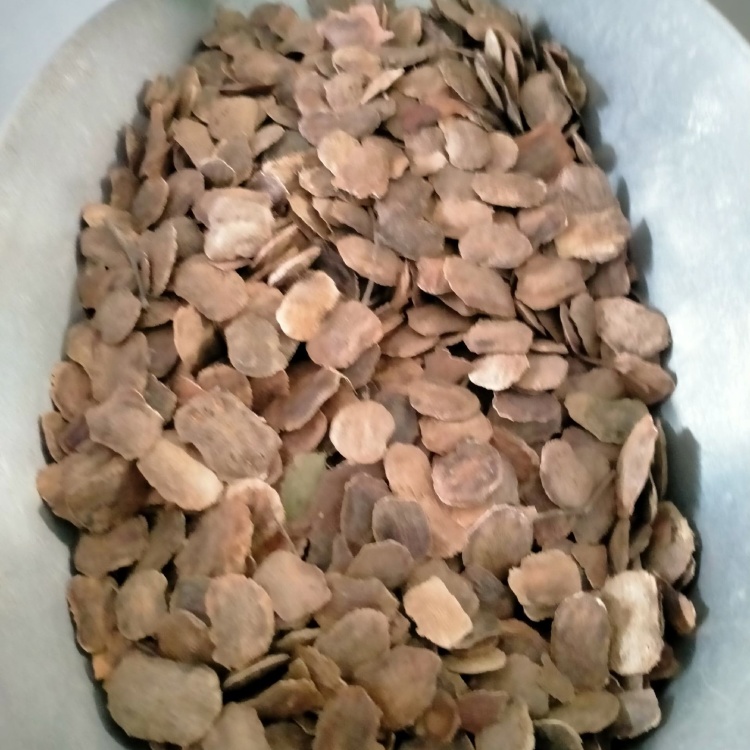 聞香・柬蒲寨産 根瘤黄花梨 聞香・柬蒲寨産 根瘤黄花梨