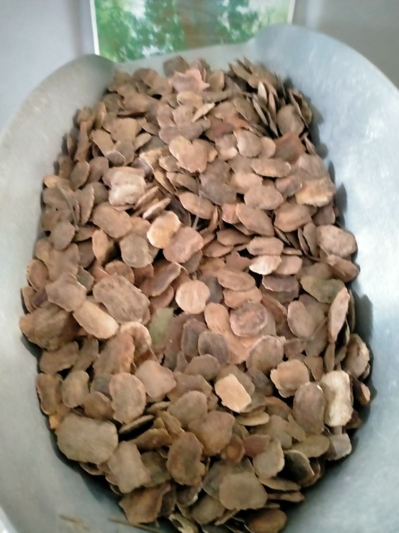 新采黄花梨种子正宗海南黄花梨种子降香黄檀种子花梨木树
