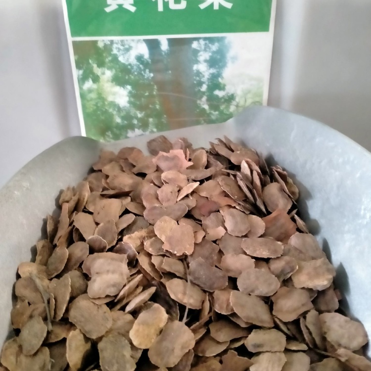黄花梨种子批发]新采黄花梨种子正宗海南黄花梨种子降香黄檀种子