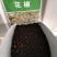 大红袍花椒种子育苗专用种子精选大红袍花椒种籽花椒目
