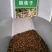胡枝子种子萩胡枝条扫皮随军茶水土保持固土护坡饲用牧草多年