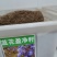 蓝花楹种子带壳林木种籽国产散装四季多年生工程绿化观叶种孑