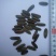 凤凰木树种子包邮红花楹树种子开红花树火树影树金凤景观绿化
