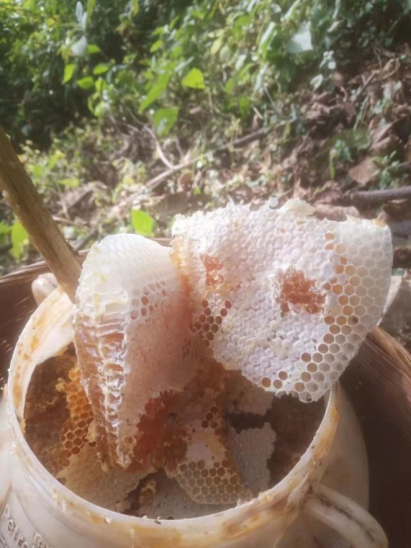 云南原生态无添加蜂蜜