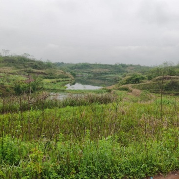 湖南衡阳农村大面积荒地，旱地，山地，养殖用地出租流转