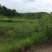 湖南衡阳农村大面积荒地，旱地，山地，养殖用地出租流转