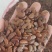 新采软枣种子君迁子种子黑柿子种籽嫁接柿子树核桃树砧木子野