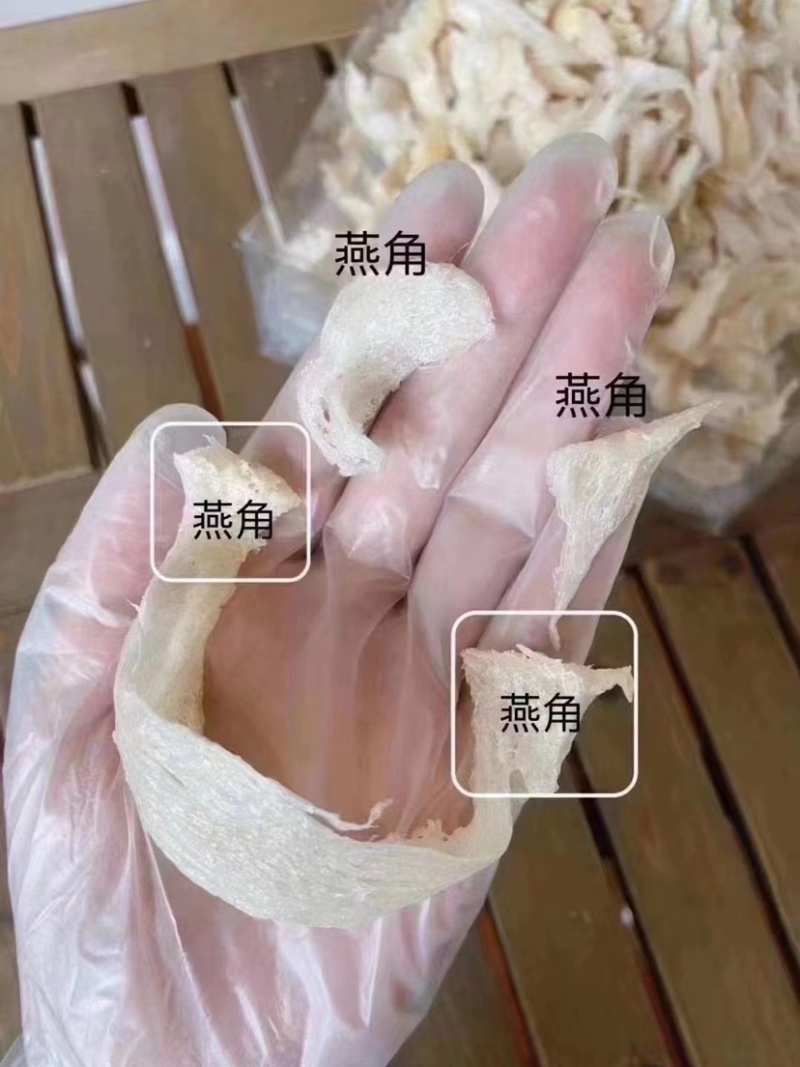 燕角燕窝大燕角燕角燕角边燕窝酸含量丰富孕妇滋补品泡发率高