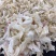 燕角燕窝大燕角燕角燕角边燕窝酸含量丰富孕妇滋补品泡发率高