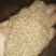 河南河南南阳产地北鹤虱