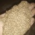 河南河南南阳产地北鹤虱