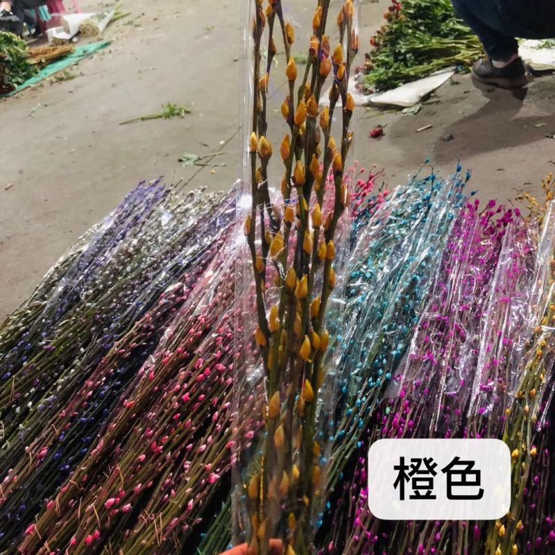 银柳基地直供，规格齐全，全国发货，货源充足