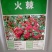 新采火棘种子火棘种籽林木树种沙棘围墙铁篱笆种子红刺木耐旱