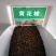 黄花槐种子园林绿化固土护坡多年生耐寒植物花期长行道树林木