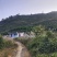 荔浦砂糖桔次果07-1.1元/斤,专职代办费0.1/斤