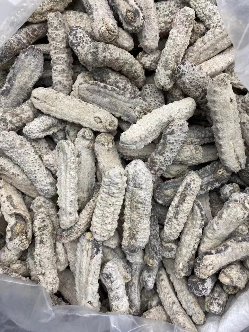 黄玉参黄肉参精品海参淡干货酒店专用产地批发
