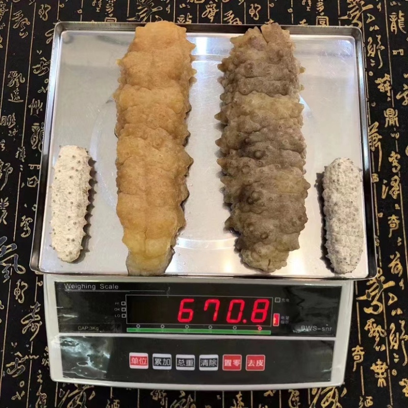 黄玉参黄肉参精品海参淡干货酒店专用产地批发
