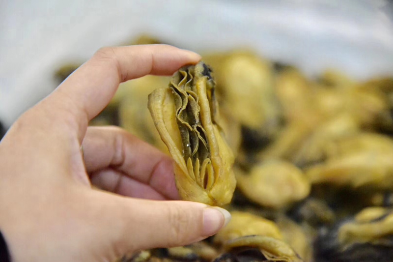 台山大金蚝鲜活生晒蚝干牡蛎干货生蚝蚝鼓肥大饱满送礼佳品