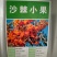 水果药材种子沙棘种子带刺植物沙枣醋柳黄酸刺酸刺沙